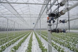 Оборудование Grundfos в теплицах Оборудование Grundfos в теплицах